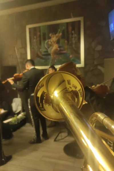Mariachis Cuautepec Hidalgo Precios de Mariachis en Cuautepec Hidalgo