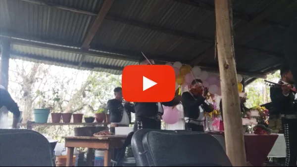 Mariachis en Tulancingo precios Precios de Mariachis en Tulancingo Hidalgo